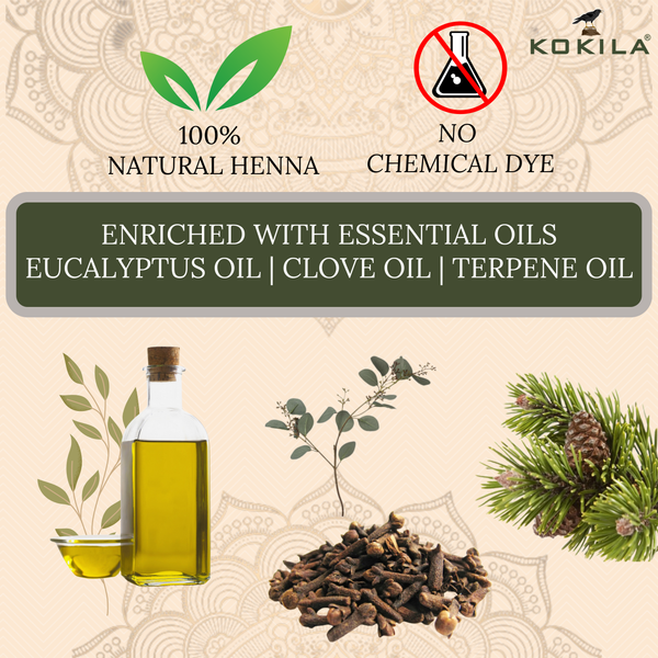 Kokila Bridal Special Premium Gold Mehendi Cones - 1 Box (12 Cones - 35g Each Cone) - 100% Natural, No Chemicals used