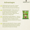 Kokila 100% Organic Natural conditioning Henna/Mehandi Powder, No chemicals, Combat Dandruff - 400gm