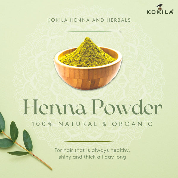 Kokila Organic Henna Powder for Natural Hair Color, 100% Natural Henna leaves Powder 1 Box 200Gm (2 Pouches - 100gm Each)