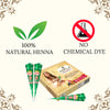 Kokila Natural Mehandi Cones - 2 Box (24 Cones - 25g Each Cone)