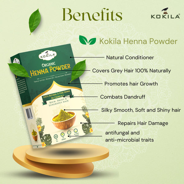 Kokila Organic Henna Powder for Natural Hair Color, 100% Natural Henna leaves Powder 1 Box 200Gm (2 Pouches - 100gm Each)